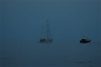 Bateaux: FEUX au mouillage (8)